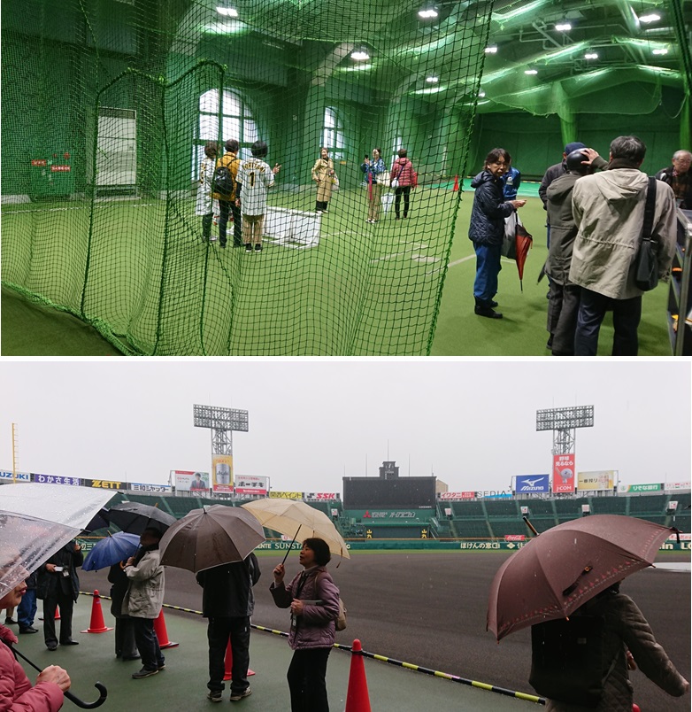 阪神甲子園球場スタジアムツアーを開催しました